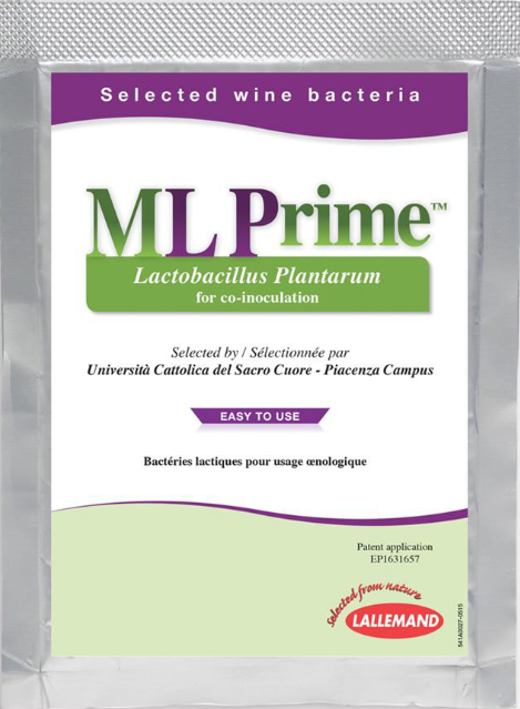 ML Prime