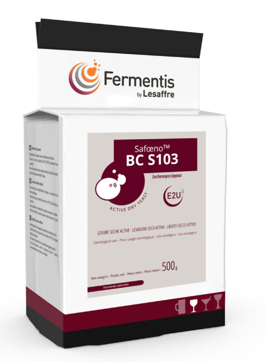 BCS 103