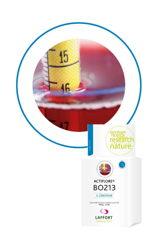 Actiflore BO213 - carolinawinesupply