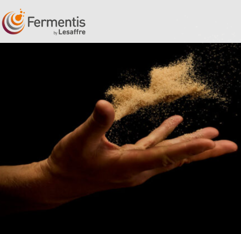 Fermentis Products