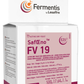 FV 19